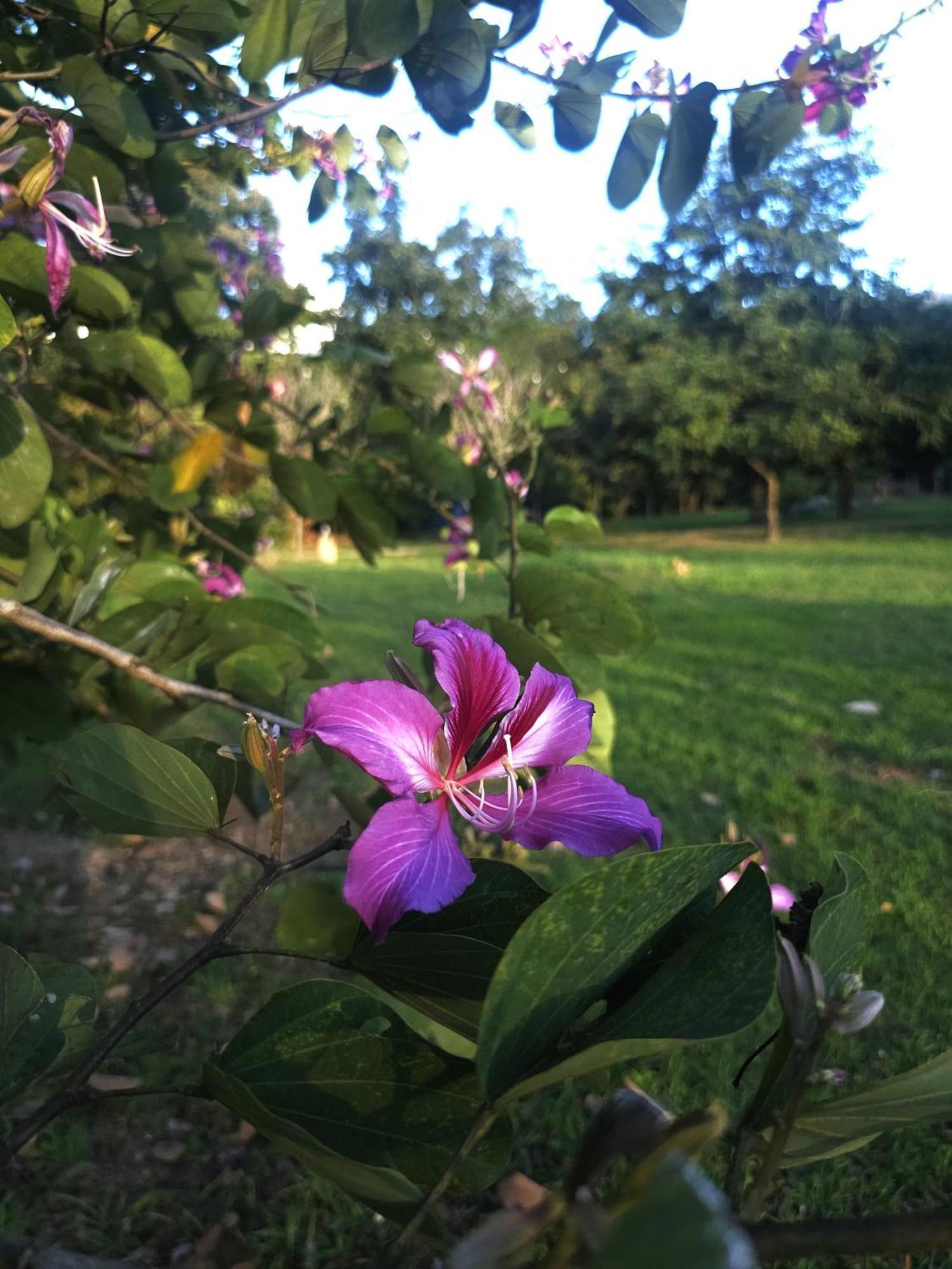 Pai Kiniman Resort Esterno foto